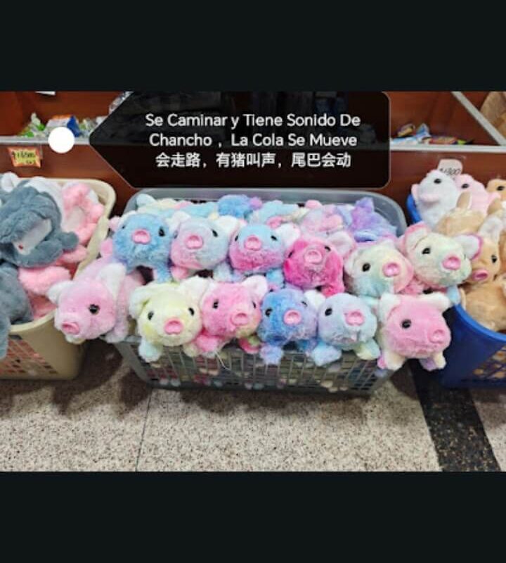 Chancho que camina multicolor