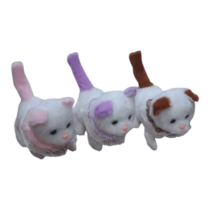 Gato camina