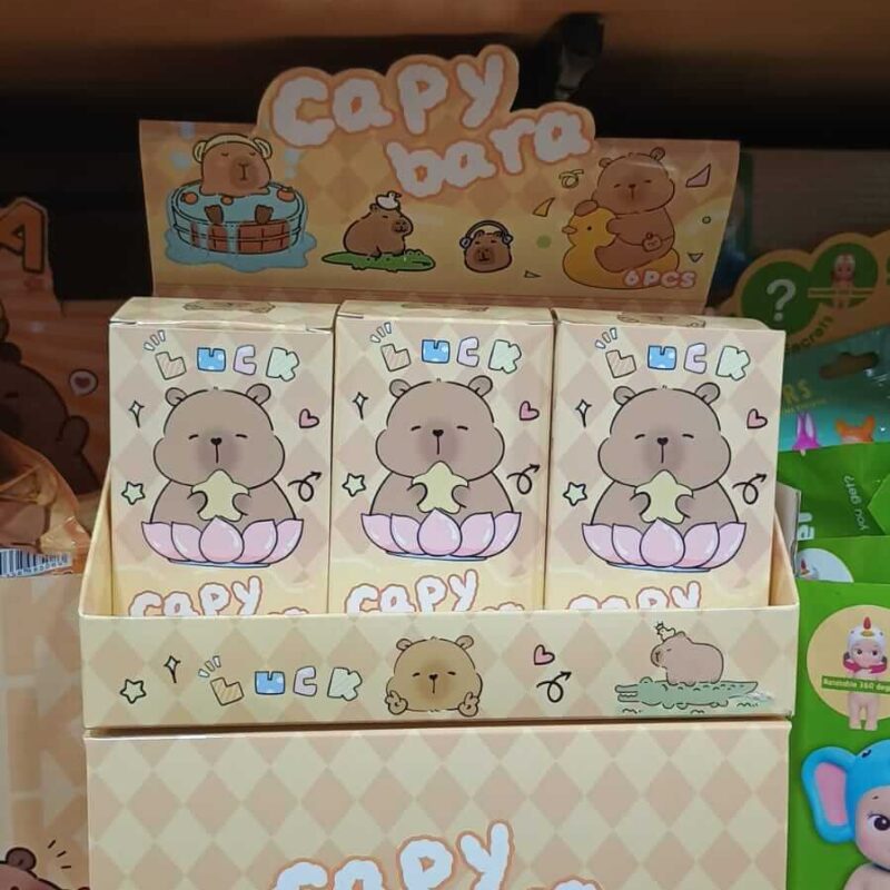 Caja Sopresa Capibara